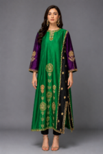 Silk Panel Outfit with Golden Embroidery